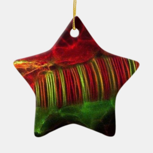 Neural rör julgransprydnad keramik (Framsidan)