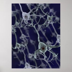 Neuralt nätverk poster