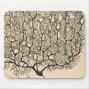 Neuro Teckning av Santiago Ramón Y Cajal Musmatta