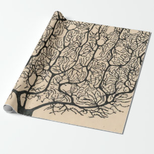 Neuro Teckning av Santiago Ramón Y Cajal Presentpapper
