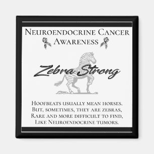 Neuroendocrine Cancer Awareness Zebra Strong Magnet