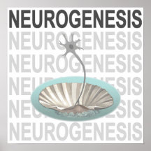 Neurogenes