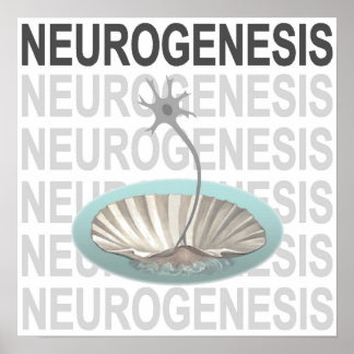 Neurogenes Poster
