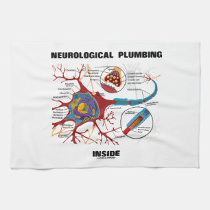 Neurological rörmokeriinsida (Neuron/Synapse) Kökshandduk