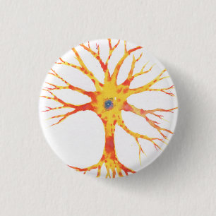 Neuron Knapp