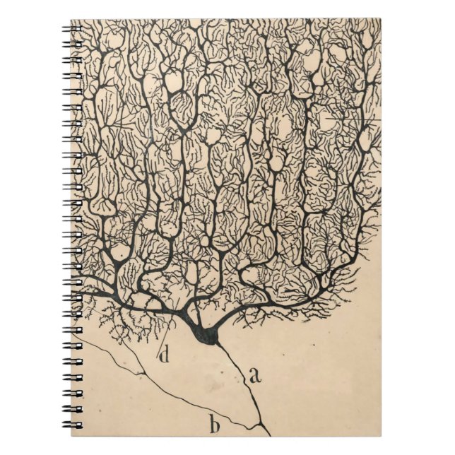 Neuron Teckning av Santiago Ramón Y Cajal Anteckningsbok (Framsidan)