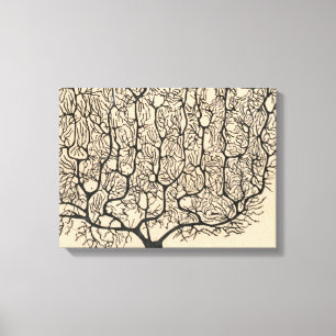 Neuron Teckning av Santiago Ramón Y Cajal Canvastryck