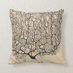Neuron Teckning av Santiago Ramón Y Cajal Kudde