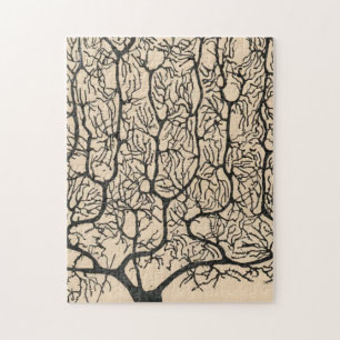 Neuron Teckning av Santiago Ramón Y Cajal Pussel