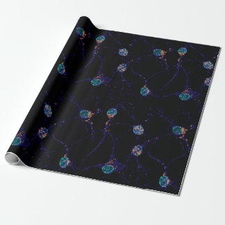 neuronal papper presentpapper