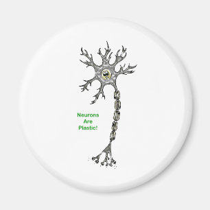 Neurons är plastisk! magnet