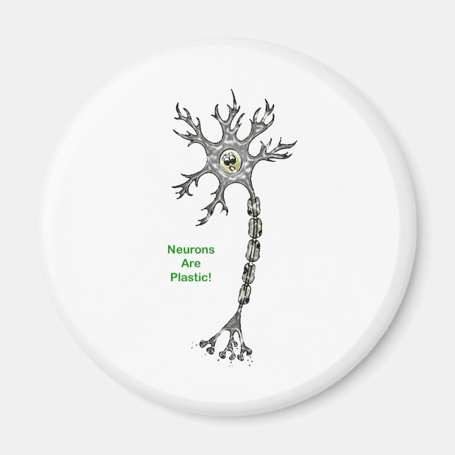 Neurons är plastisk! magnet (Framsidan)