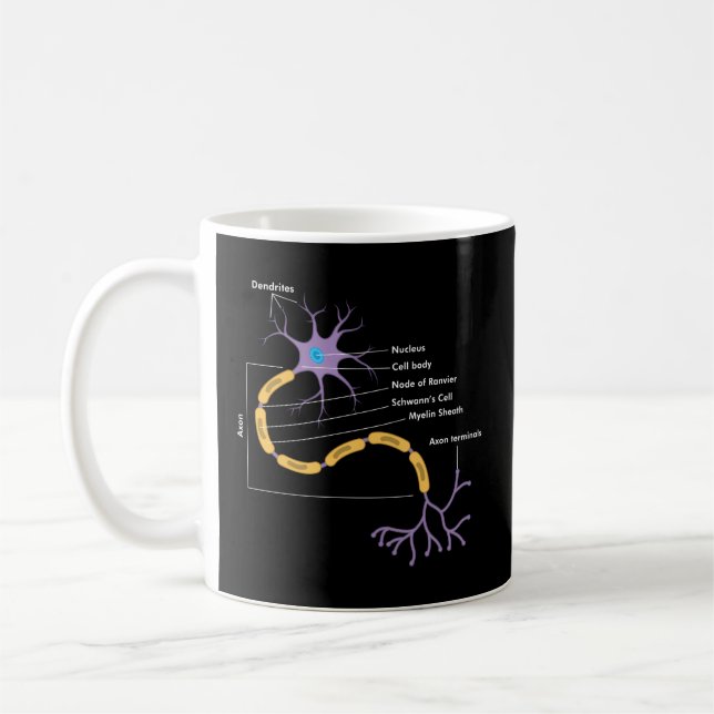 Neurons neurolog anatomi kaffemugg (Vänster)