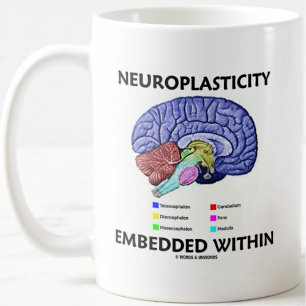 Neuroplasticitet inbäddad inom hjärnanatomi kaffemugg