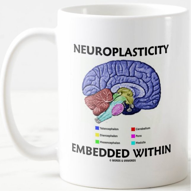 Neuroplasticitet inbäddad inom hjärnanatomi kaffemugg (Brainy mug for anyone who learns a lot and in different ways w/ "Neuroplasticity Embedded Within")