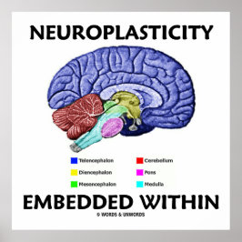Neuroplasticitet inbäddad inuti (hjärnanatomi) poster