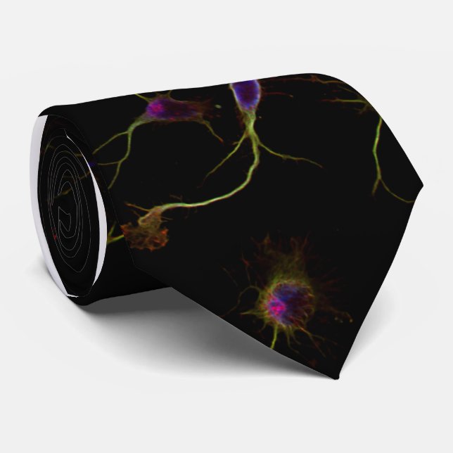 NeuroRootsTie Slips (Rullad)