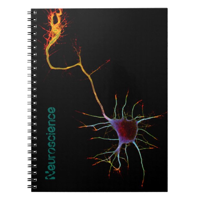 Neuroscience, neuron , science anteckningsbok (Framsidan)