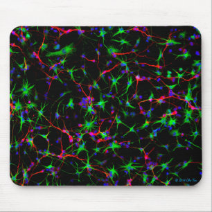 Neurosciencemusen vadderar musmatta