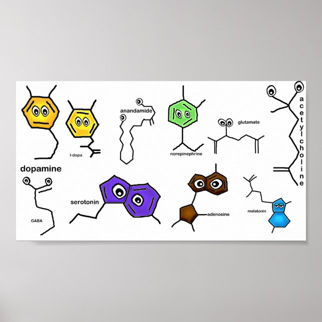 Neurotransmitter Poster (Framsidan)