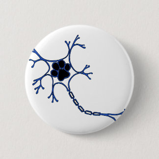 NeuroWebVet Knapp