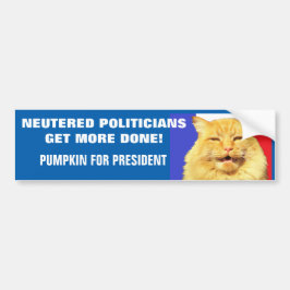 Neuted Politikar får mer gjort - Pumpkin Bildekal