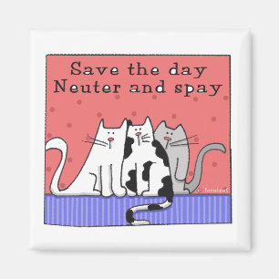 Neutrat för tre katter och Spay Magnet