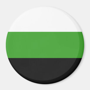 Neutrois Pride Flagga Magnet