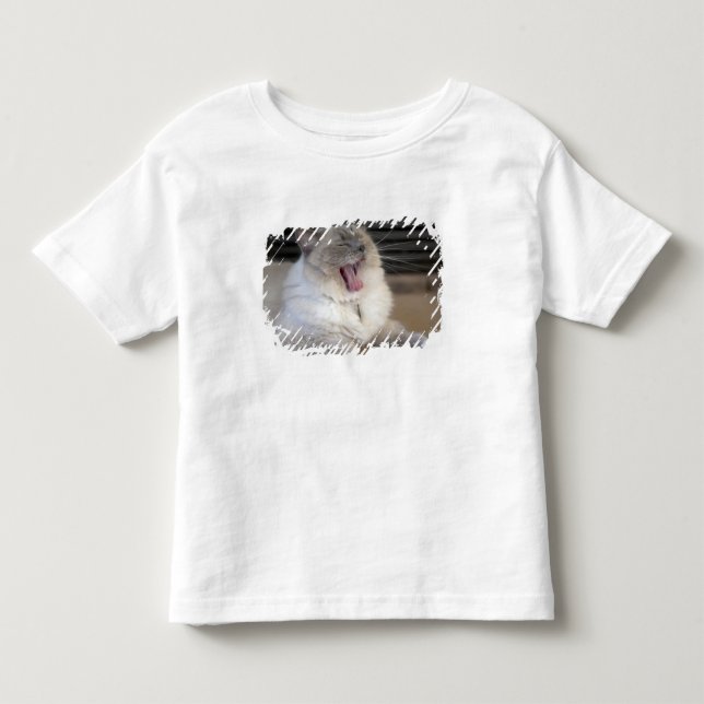 Neva Masquerade katt gapar Tee Shirt (Framsida)