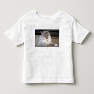 Neva Masquerade katt gäspar Tee Shirt
