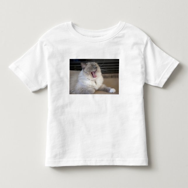Neva Masquerade katt gäspar Tee Shirt (Framsida)