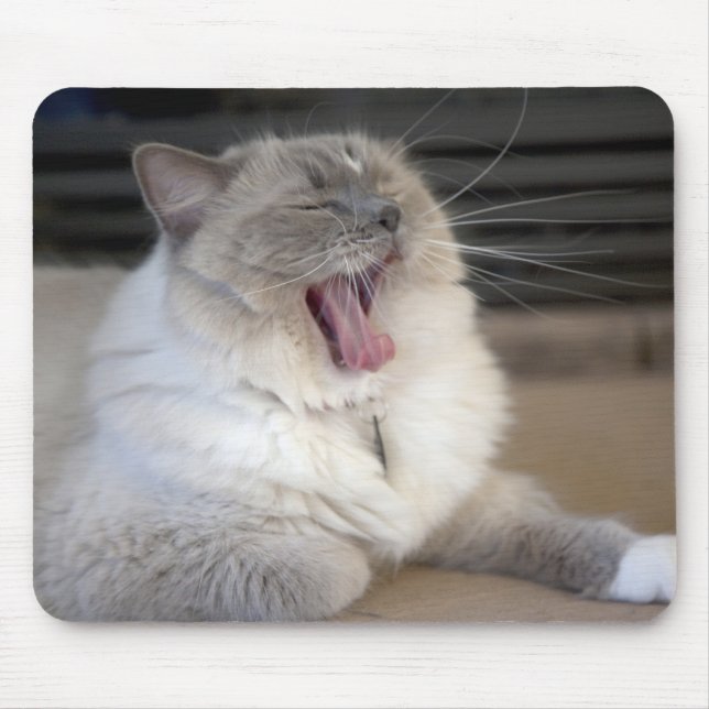 Neva Masquerade katt gäspning Musmatta (Framsidan)