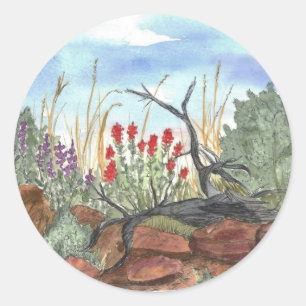 Nevada Desert Indian Paintbrush Runt Klistermärke