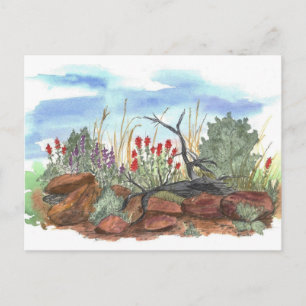 Nevada Desert Indian Paintbrush Watercolor Vykort