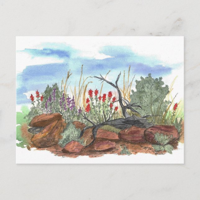 Nevada Desert Indian Paintbrush Watercolor Vykort (Framsida)