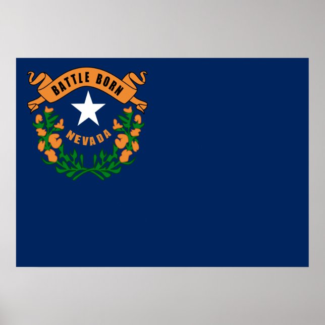 Nevada flagga poster (Framsidan)