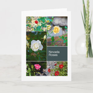 Nevada ro i Reno parkerar fotocollage Kort