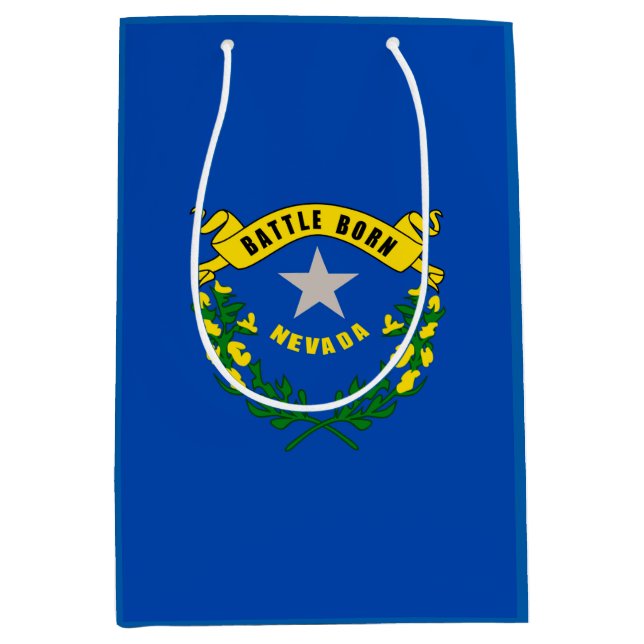 Nevada Statlig flagga Design (Framsidan)