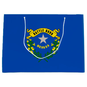 Nevada Statlig flagga Design