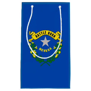 Nevada Statlig flagga Design