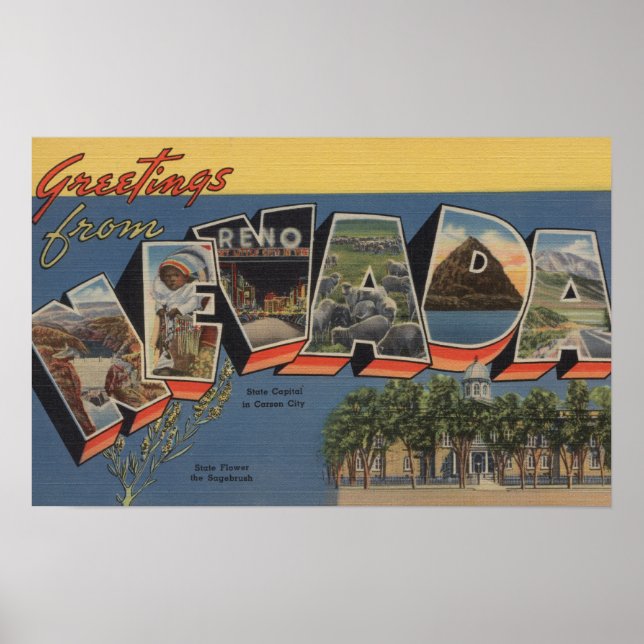 Nevada (statligt kapital/blomma) poster (Framsidan)