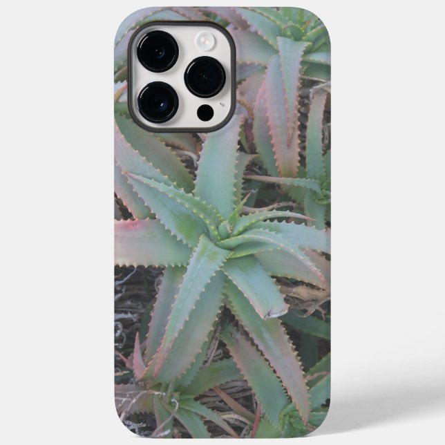 Nevada succulents (Baksida)