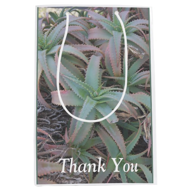 Nevada succulents (Framsidan)