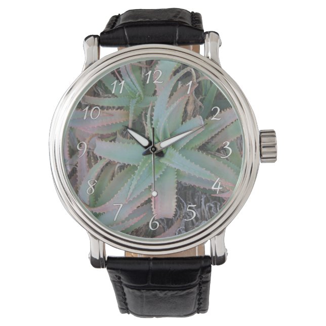 Nevada succulents armbandsur (Framsida)