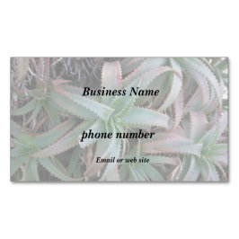 Nevada succulents magnetiska visitkort