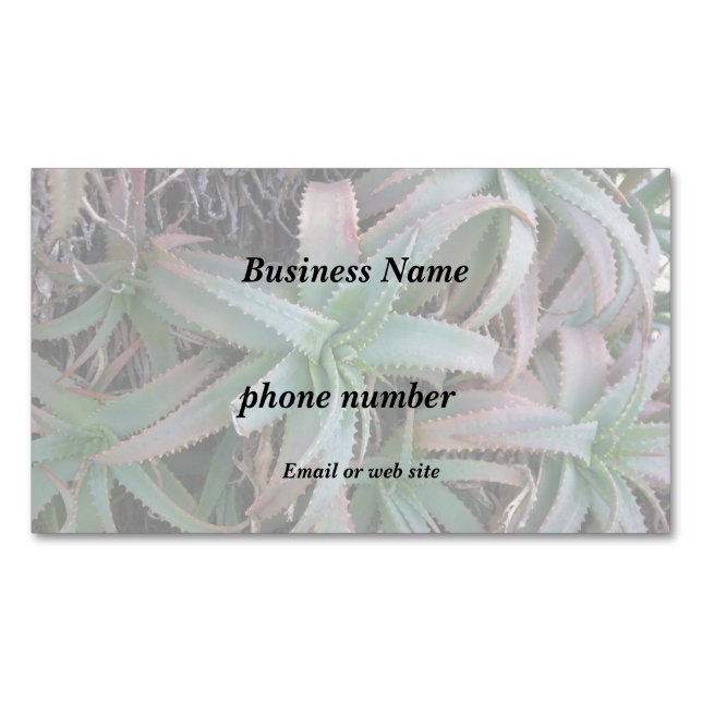 Nevada succulents magnetiska visitkort (Framsida)