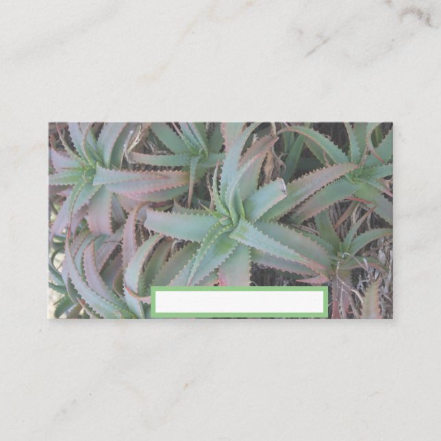 Nevada succulents placeringskort (Framsida)