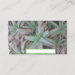 Nevada succulents placeringskort