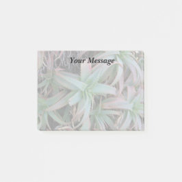 Nevada succulents post-it block