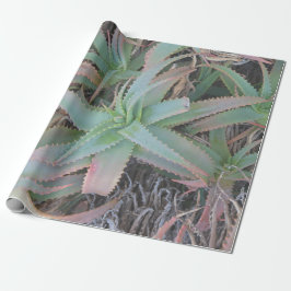 Nevada succulents presentpapper